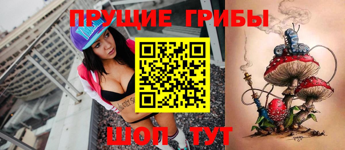 Псилоцибиновые грибы мицелий  Псилоцибиновые грибы прущие грибы  Тольятти  Вход с VPN 