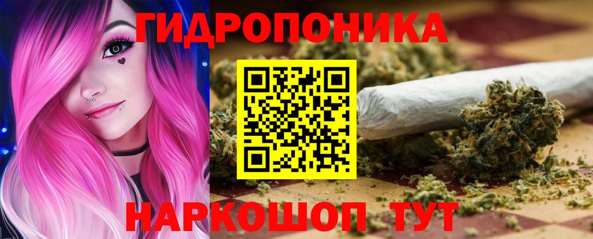 Шишки марихуана тримм  Вход с VPN  Шишки марихуана индика  Бошки Шишки Amnesia  Шишки марихуана план  Тольятти 